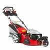 Hecht 5563 SXE