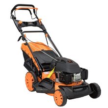 Amber Line B-Class 4in1