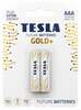Patareid Tesla Gold+ AAA, R03, 1.5V, 2 tk