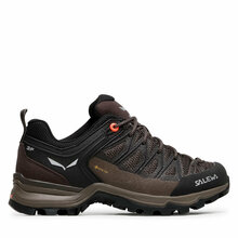 Matkajalatsid naistele Salewa Mtn Trainer Lite GTX 61362-7517, suurus EU 36,5, pruun