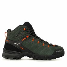 Matkasaapad Salewa Ms Alp Mate Mid Ptx 61384-5400, 47, rohelised