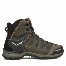 Matkasaapad Salewa Mtn Trainer Lite Mid Gtx 61359-7953, suurus 45, khaki