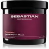 Juuksemask Sebastian Professional Penetraitt Resque Repair Mask, 500 ml