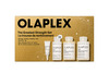 Juuksehoolduskomplekt Olaplex The Greatest Strength Set, 4 tk