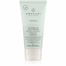 Juuksemask Paul Mitchell Awapuhi Intensive Treatment, 75 ml