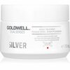 Juuksemask Goldwell Dualsenses Silver, 200 ml