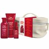 Juuksehoolduskomplekt Wella Professionals Ultimate Repair