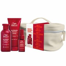 Juuksehoolduskomplekt Wella Professionals Ultimate Repair