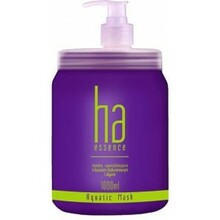 Juuksemask Stapiz Ha Essence, 1000 ml
