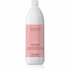 Toitev taastav juuksemask Farmavita Amethyste Chroma, 1000 ml