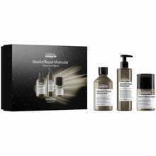 Juukseid taastav komplekt L'Oreal Professionnel Meteora Absolut Repair Molecular TRIO