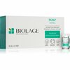 Juuksetoonik väljalangemise vastu Biolage ScalpSync Pro-Aminexil, 10 x 6 ml