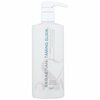 Silendav seerum taltsutamatutele juustele Sebastian Professional Taming Elixir, 500 ml
