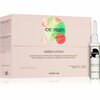 Juukselosjoon ampullid Inebrya Energy, 12 x 10 ml