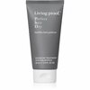 Taastav hooldus kuivadele ja kahjustatud juustele Living Proof Perfect Hair Day, 60 ml