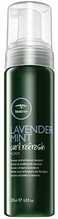 Juuksevaht Paul Mitchell Tea Tree Lavender Mint Curl Refresh Foam, 200ml