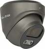 Valvekaamera Blow BL-I5IS28TBM, 5MP, grafiit