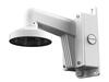 Level One IPCam CAS-7316, seinapaigalduskomplekt