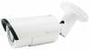 Valvekaamera Level One FCS-5060, 2MP
