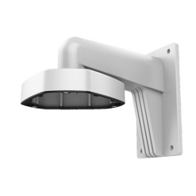 Seinakinnitus Hikvision DS-1273ZJ-DM25