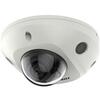 Hikvision DS-2CD2546G2-I F4