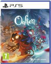 Oaken PS5