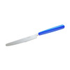 Lauanuga Tescoma Fancy Home, plastik/roostevaba teras, sinine, 22 cm