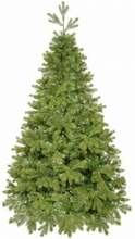 Kunstkuusk Springos CT0144, alusega, 220 cm