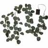 LED valgusdekoratsioon Star Trading Eucalyptus, roheline, 1.8 m