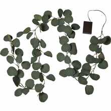 LED valgusdekoratsioon Star Trading Eucalyptus, roheline, 1.8 m