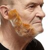 Valebakenbardid My Other Me, oranž