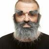 Võlts habe My Other Me, hall, Viving Costumes 205045