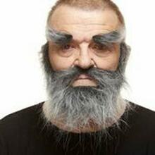 Võlts habe My Other Me, hall, Viving Costumes 205045