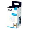 Liikumisandur Wiz 929002422301, valge, IP20