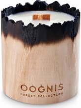 Sojavaha küünal CandleHand Oognis Forest Vetiver Fields, 400 g