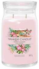 Lõhnaküünal Yankee Candle Desert Blooms, suur klaas 567 g