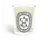 Aroomiküünal Diptyque Gardenia, 190 g