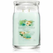 Aroomiküünal Yankee Candle Aloe & Agave, suur klaas 567 g