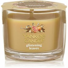 Lõhnaküünal Yankee Candle Glistening Leaves, 37 g