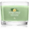 Aroomiküünal Yankee Candle Sage & Citrus Mini, 7 - 10 h, 37 g