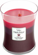 Aroomiküünal WoodWick Trilogy Sun Ripened Berries, 65 h, 275 g