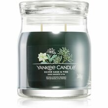 Lõhnaküünal Yankee Candle Silver Sage & Pine, 35 - 50 h, 368 g, roheline