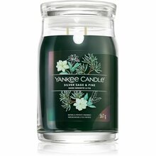 Lõhnaküünal Yankee Candle Silver Sage & Pine, 60 - 90 h, 567 g