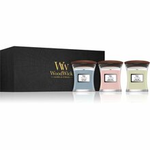 Küünalde komplekt WoodWick Mini Core Evening Onyx, Solar Ylang & Coastal Sunset, 3 tk