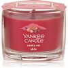 Lõhnaküünal Yankee Candle Santa On Skis, 37 g