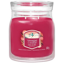 Lõhnaküünal Yankee Candle Santa On Skis, 368 g