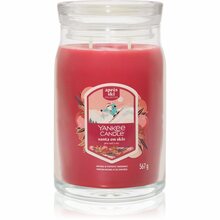 Lõhnaküünal Yankee Candle Santa On Skis, 567 g