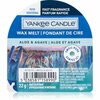 Sulatusvaha Yankee Candle Aloe & Agave, 22 g