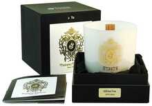 Lõhnaküünal Tiziana Terenzi White Fire, 170 g