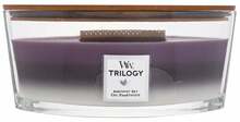 Aroomiküünal WoodWick Trilogy Amethyst Sky, 40 h, 453,6 g